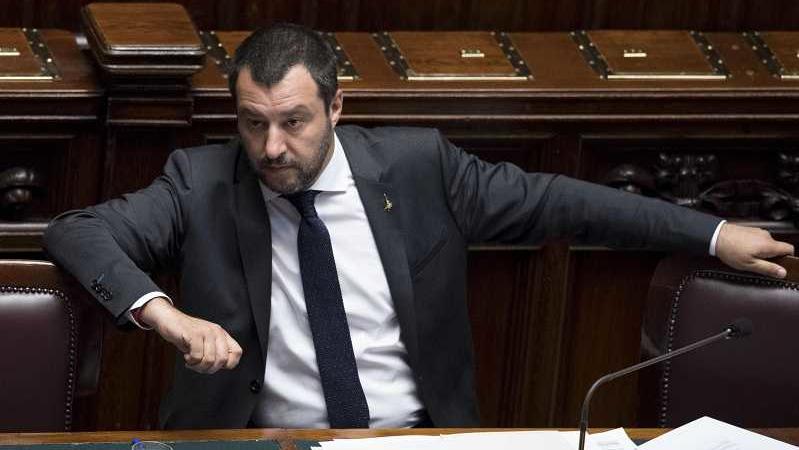 salvini