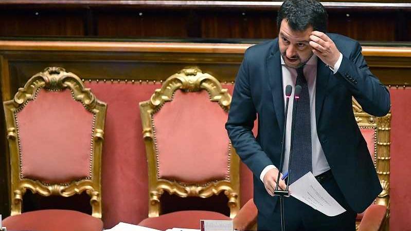 salvini