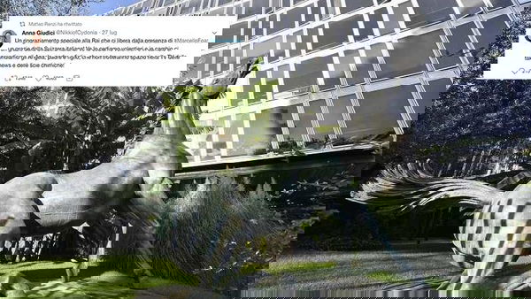 Storia di Anna, attaccata dai sovranisti sul suo aspetto fisico per un tweet ironico su Foa