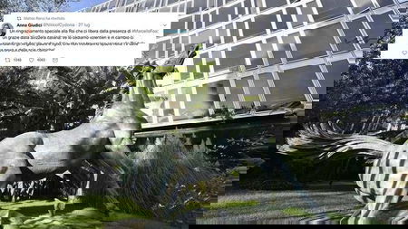 Storia di Anna, attaccata dai sovranisti sul suo aspetto fisico per un tweet ironico su Foa article-post