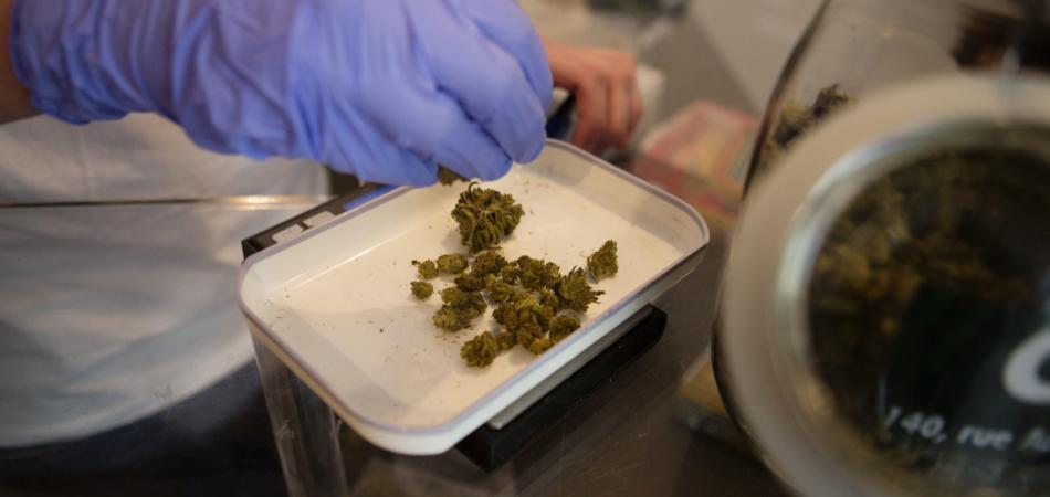 Cannabis Terapeutica, prescrivibile per ogni dolore