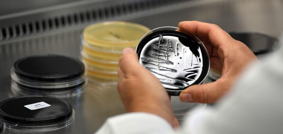 Emergenza legionella a Milano