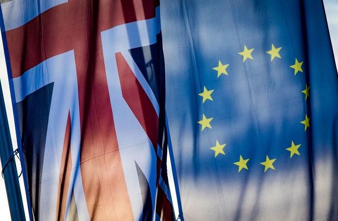 pro-brexit