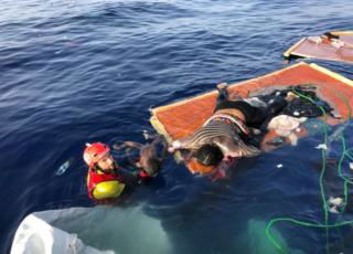 proactiva open arms