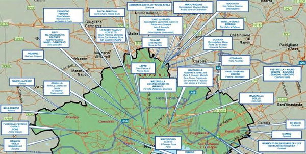 I cognomi della mafia: tutti i clan di Cosa Nostra, ‘ndrangheta e camorra, comune per comune