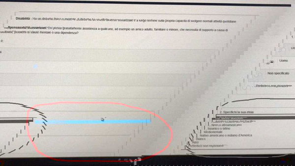 Burberry, il questionario degli orrori: «Specificate etnia e preferenze sessuali»