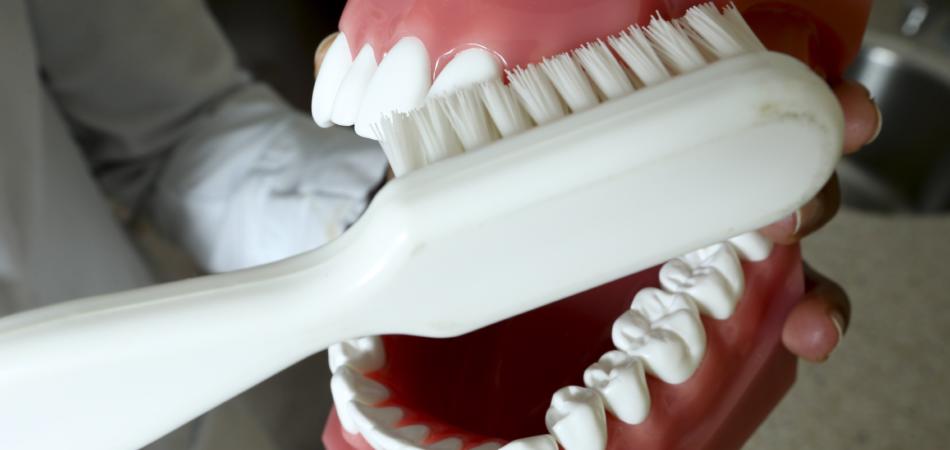 Sonno denti, studio Giappone