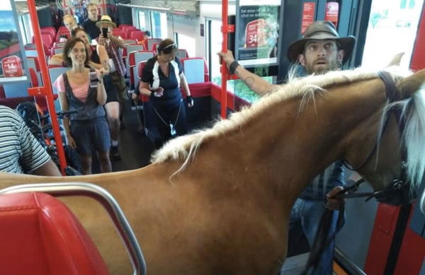 Un ragazzo austriaco ha portato la sua cavalla sul treno