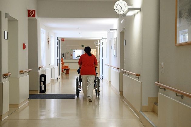 La Febbre del Nilo sta uccidendo ancora article-post
