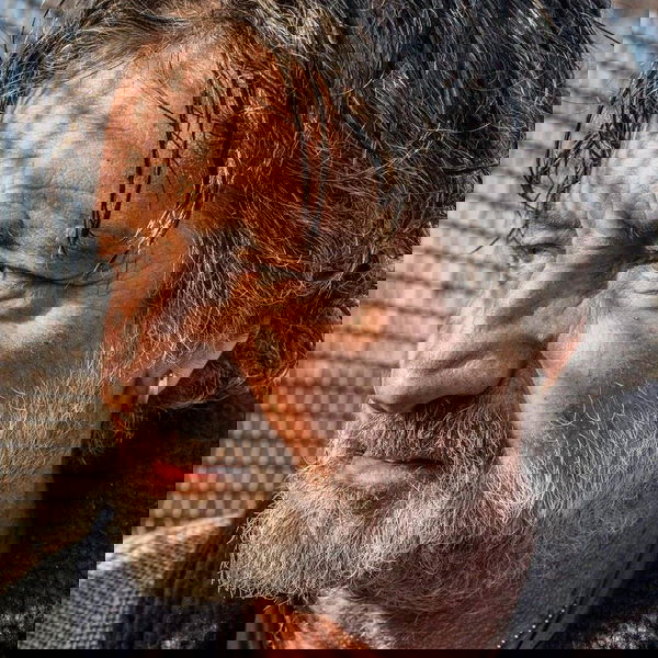 Il giornalista Enrico Nascimbeni aggredito a Milano. «Comunista di m…»