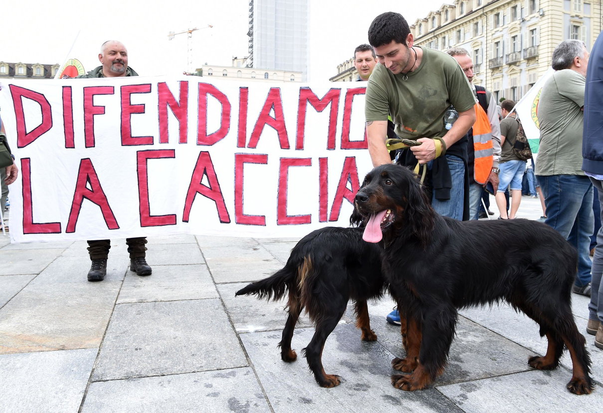 L’ultima follia dei cacciatori: il Vademecum contro gli animalisti article-post