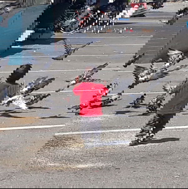 «Stanno cercando i migranti della Diciotti al Baobab»