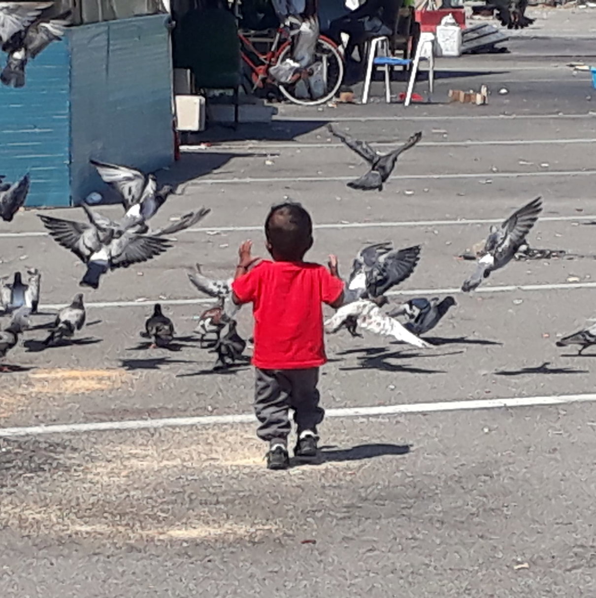 «Stanno cercando i migranti della Diciotti al Baobab» article-post