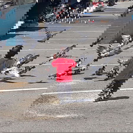 «Stanno cercando i migranti della Diciotti al Baobab» article-post