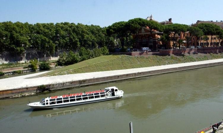 Coccodrillo nel Tevere