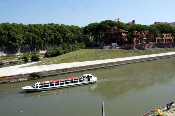 Cosa si sa finora del «coccodrillo» nel Tevere