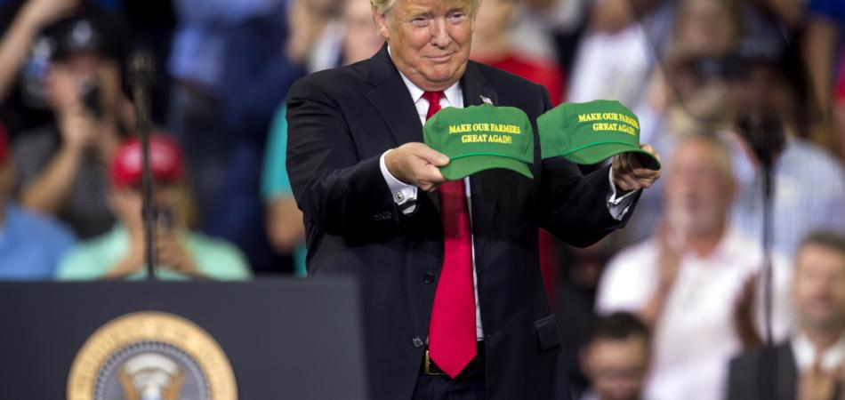 Trump Woodward
