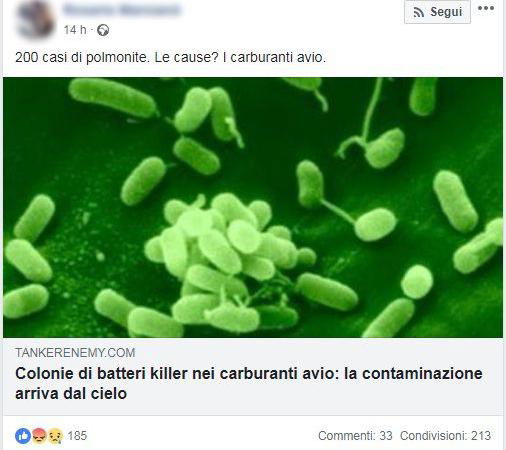 bufala