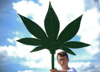 cannabis light