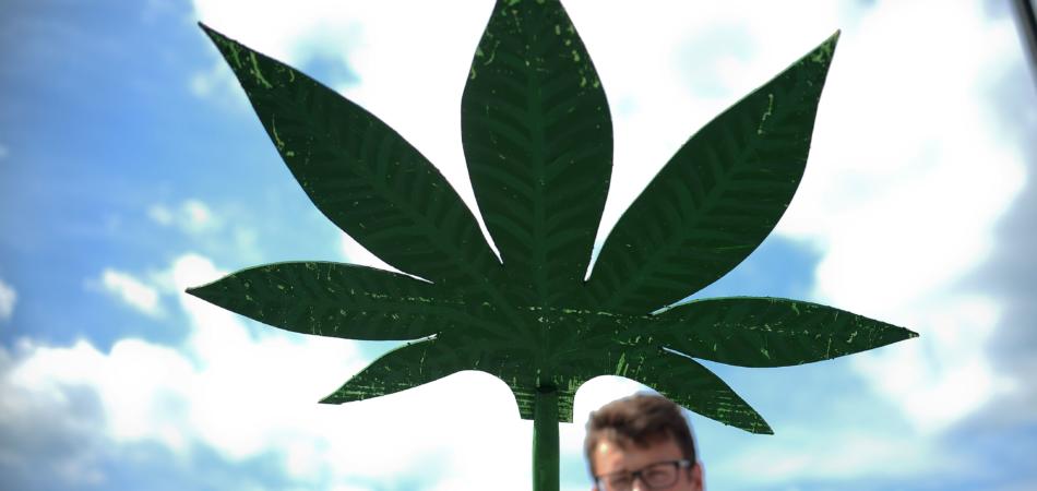 cannabis light