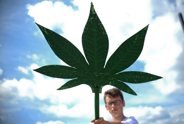 Breve guida alla cannabis (legale) a domicilio