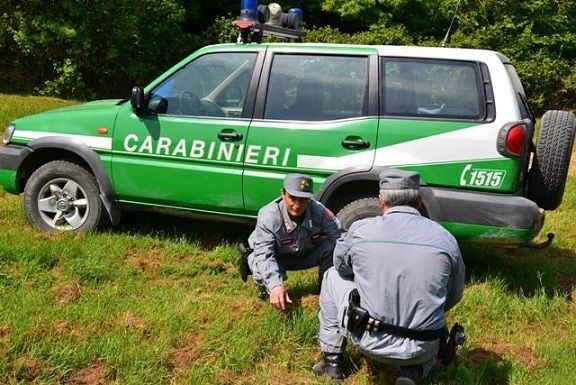 Rimini, pensavano di sparare ai lupi ma stavano mirando ai carabinieri forestali