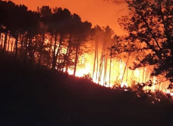 Paura per un incendio a Calci (Pisa): brucia il monte Serra, centinaia di sfollati