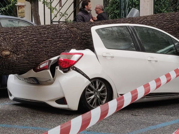 Dagli alberi caduti a Roma ai pesci che nuotano per strada in Trentino: i danni del maltempo | VIDEO