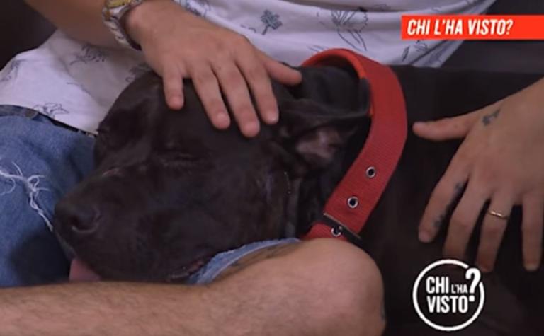 Chi l’ha visto e l’assurda storia dei poliziotti che a Genova sparano a un cane