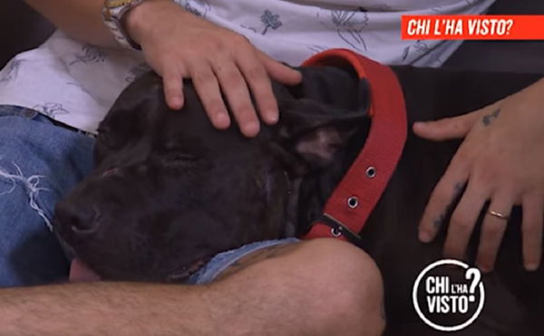 Chi l’ha visto e l’assurda storia dei poliziotti che a Genova sparano a un cane