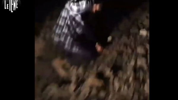 Maltrattano a morte un coniglio a Foggia, l’indignazione della rete non basta più