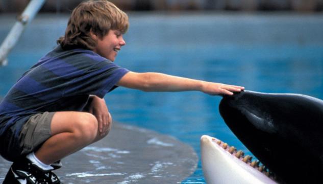 free willy