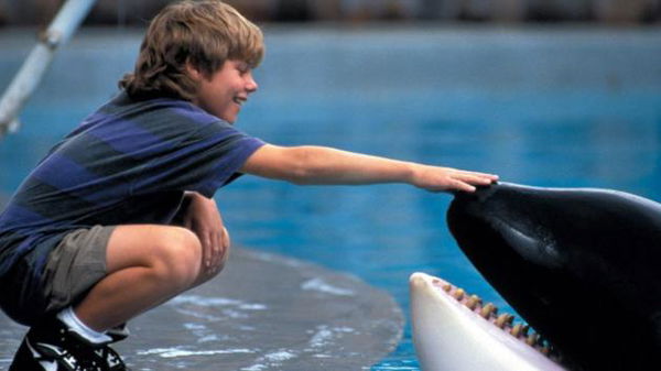 Il bambino di Free Willy arrestato per aver picchiato la compagna