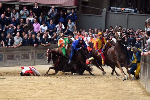Il cavallo Raol è stato abbattuto dopo l’incidente al Palio di Siena
