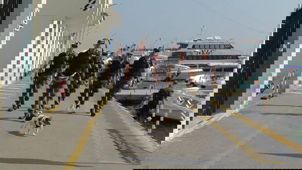 La storia del cane “Pocho” minacciato dalla camorra