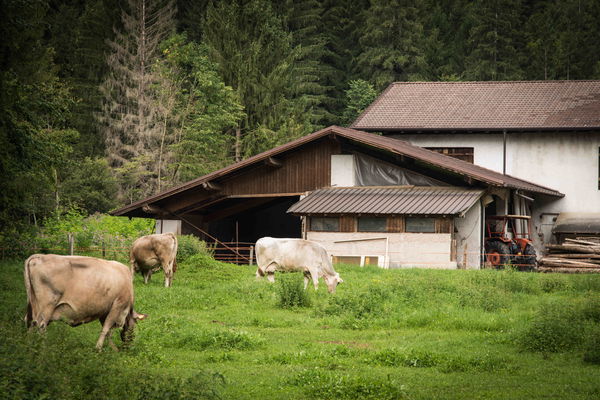 Il Nord Italia è il posto migliore per le vacanze d’autunno