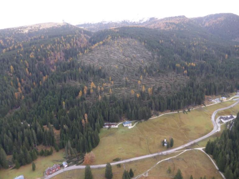 Belluno, il bambino che con 5 euro vuole salvare la montagna commuove tutti