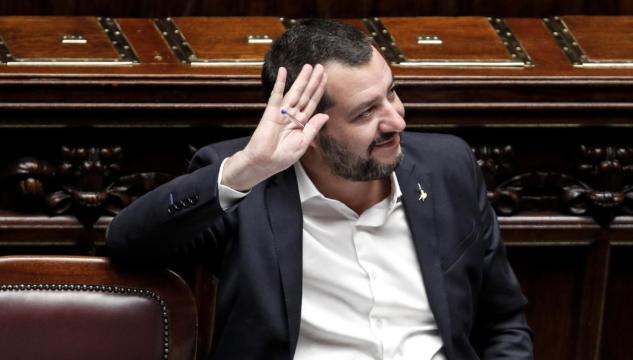 Salvini gattini