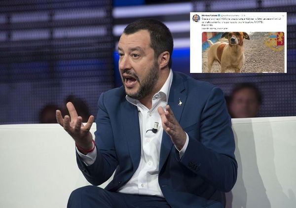 Salvini condivide la bufala del cane antidroga ‘Pocho’ minacciato dalla camorra