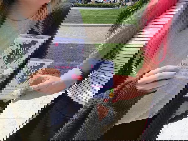 Caramelle e informazione sulla contraccezione: l’iniziativa non piace a Verona