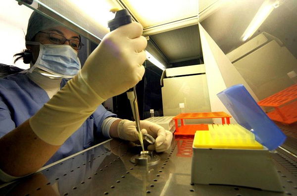 Mamma single a 62 anni con embrione comprato: «Mi basta che la bimba resti con me fino alla maggiore età»