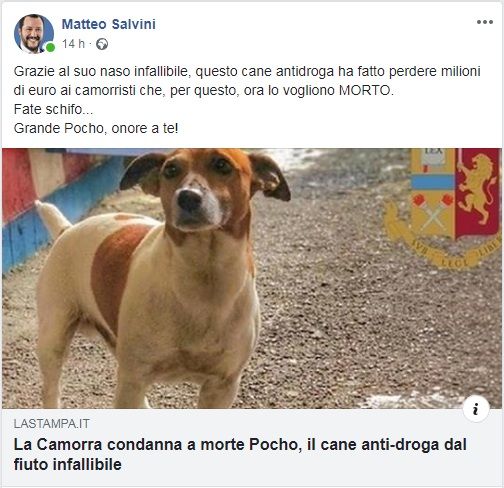 salvini