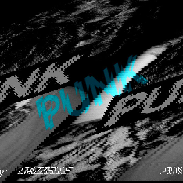 Gazzelle: Il disco di inediti “Punk” e le tappe del tour