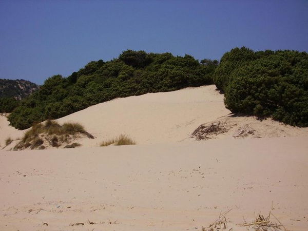 Sardegna, gli ambientalisti comprano le dune di Chia per strapparle agli investitori stranieri | FOTO