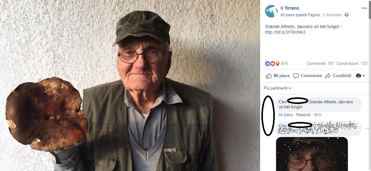 Perché tutti scrivono “grande Alfredo, davvero un bel fungo” article-post