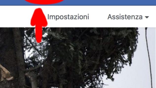 tasto crea