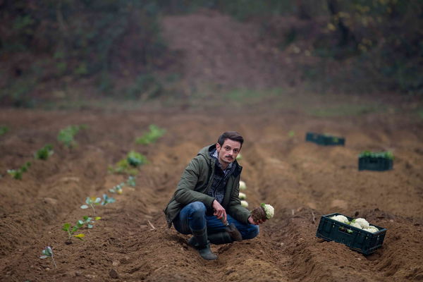 Il vegetale: Recensione della pellicola con Fabio Rovazzi e Luca Zingaretti