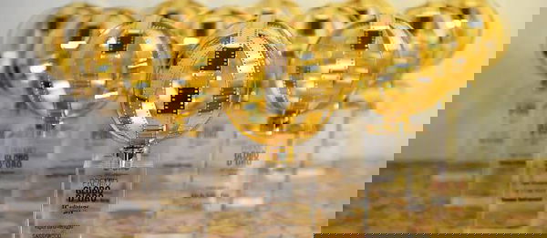 Globi D’Oro 2018: Brutti e Cattivi guida le nomination, tutti i candidati per la stampa estera