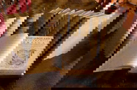 Il presidente della Crusca anticipa: «Decisione Accademia arriverà a breve, ma si dice ‘la Covid’» article-post