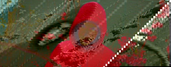 Ale Nocivo: Il nuovo singolo è “Non Esistono Pastiglie” | AUDIO